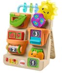 Fisher Price Peek N Play Busy Garden 