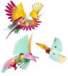 Clixo, tropical birds : expedition