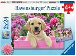 Ravensburger 2x24pc Puzzle - Me and my pal