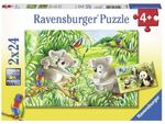 Ravensburger 2x24pc Puzzle - Sweet Koalas and pandas