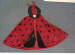 LADY BUG COSTUME