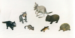AUSTRALIAN ANIMALS - 6 pieces