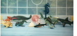 SEA CREATURES SET