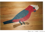 GALAH GIANT PUZZLE