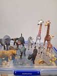 African herd animals