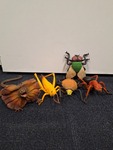 Giant Insects and animals