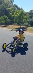 BERG Buddy B-Yellow 2.0