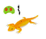 Remote Control Gecko