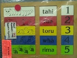 Maori Numbers 1-5