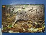 Kiwi puzzle