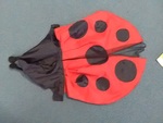 Ladybird Dress Up