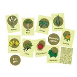 Nga Rakau o Aotearoa | NZ plants memory game