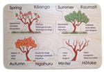 Nga Wahanga o te Tau - Seasons of the Year puzzle