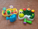 Baby's Flower Garden and Crocodile