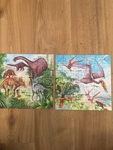Dinosaur puzzle set