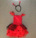 Lady Bug Costume (Size 2-4)