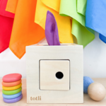 Totli Montessori Box