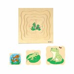 Frog Sequence Puzzle