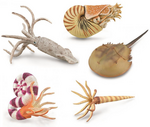 Marine Creatures