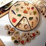 Life Cycles Learning Wheel