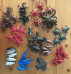 Assorted sea animals