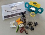 Noongar Insect Set