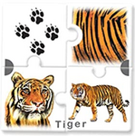 Amazing Animals Jigsaw