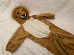 Lion Onesie Costume (Size 2-3)