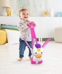 Push and Flutter Unicorn