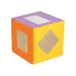 B221: Coloured Cube with Mirror Shapes