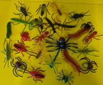 P154: Creepy Crawlies