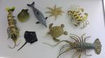 Deep Sea Animal Set