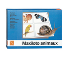 Animal Bingo