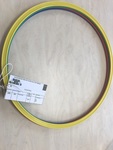 Coloured Hoops