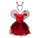 Ladybug costume