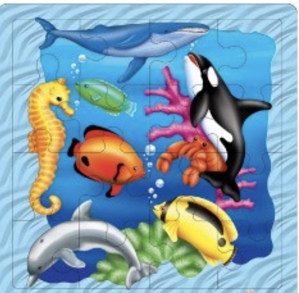 JIG25: Great Barrier Reef