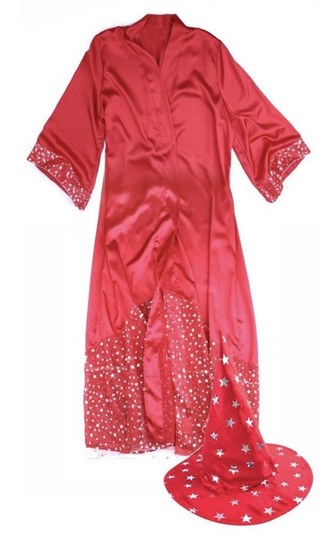 PPL90: Wizard Adult Costume