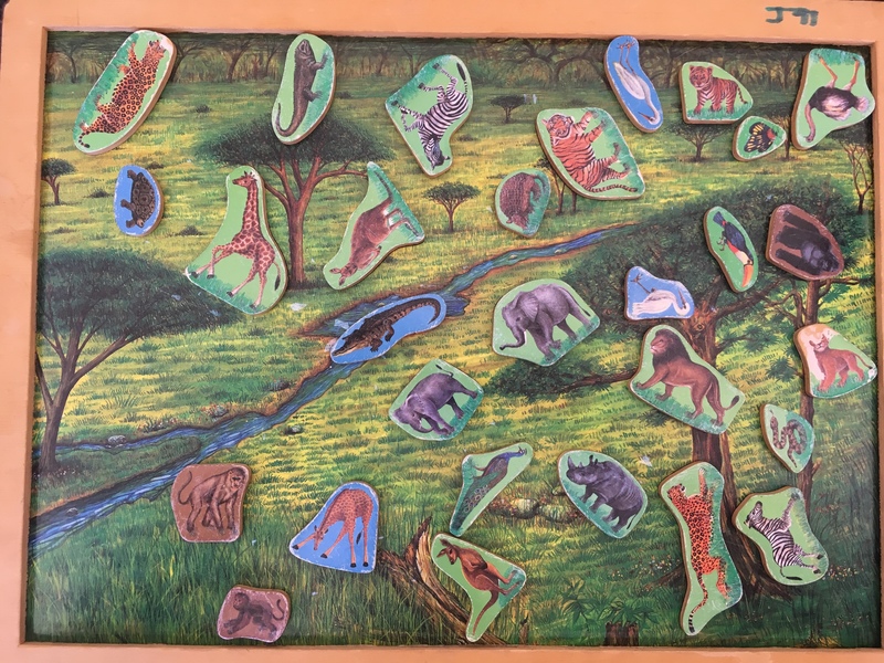 JIG91: Comet Magnetic Jungle