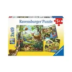 P253: Animals - 3x49 Piece Puzzles