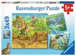 Animals in their Habitats - 3x49 Piece Puzzles