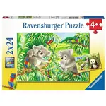 Sweet Koalas and Pandas 2x24 Puzzles