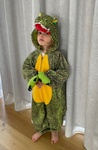 Crocodile Dress-Up