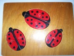 Ladybird Puzzle