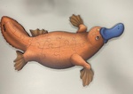 Platypus Puzzle