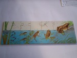 Frog Puzzle