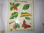 Birth of a Butterfly Puzzle