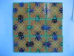 Bugs nature puzzle