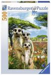500 piece Puzzle - Mischievous Meerkats