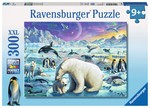 300 piece Puzzle - Meet the Polar Animals