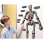 3D Magnetic Skeleton